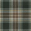 Holyrood Weathered Tartan Fabric