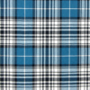 Napier Ancient Tartan Fabric