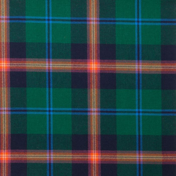 Young Modern Tartan Fabric