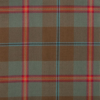 Young Weathered Tartan Fabric